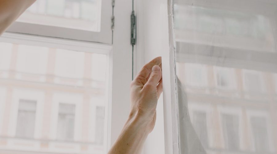 Windows of Opportunity: Enhancing Your Home's Beauty and Efficiency